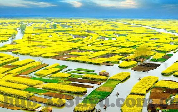 足球比分哪家性价比高-足球比分平台大比拼，哪家性价比更高？